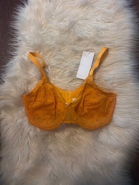 Enchante orange Lace Underwire Bra